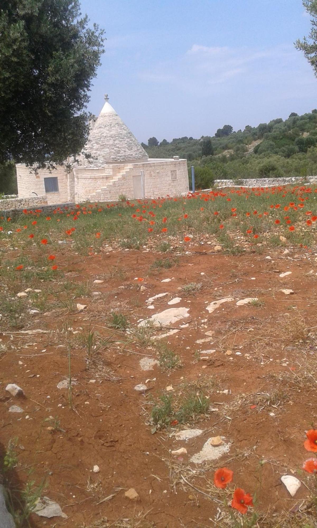 Trullo Alto Salento Villa Cisternino Exterior photo